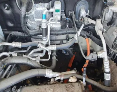 2019 Hyundai Kona KMHK281GFLU065780 VIN:KMHK281GFLU065780