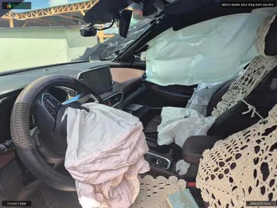 2019 Hyundai Santa FE KMHS581BDKU176768 VIN:KMHS581BDKU176768