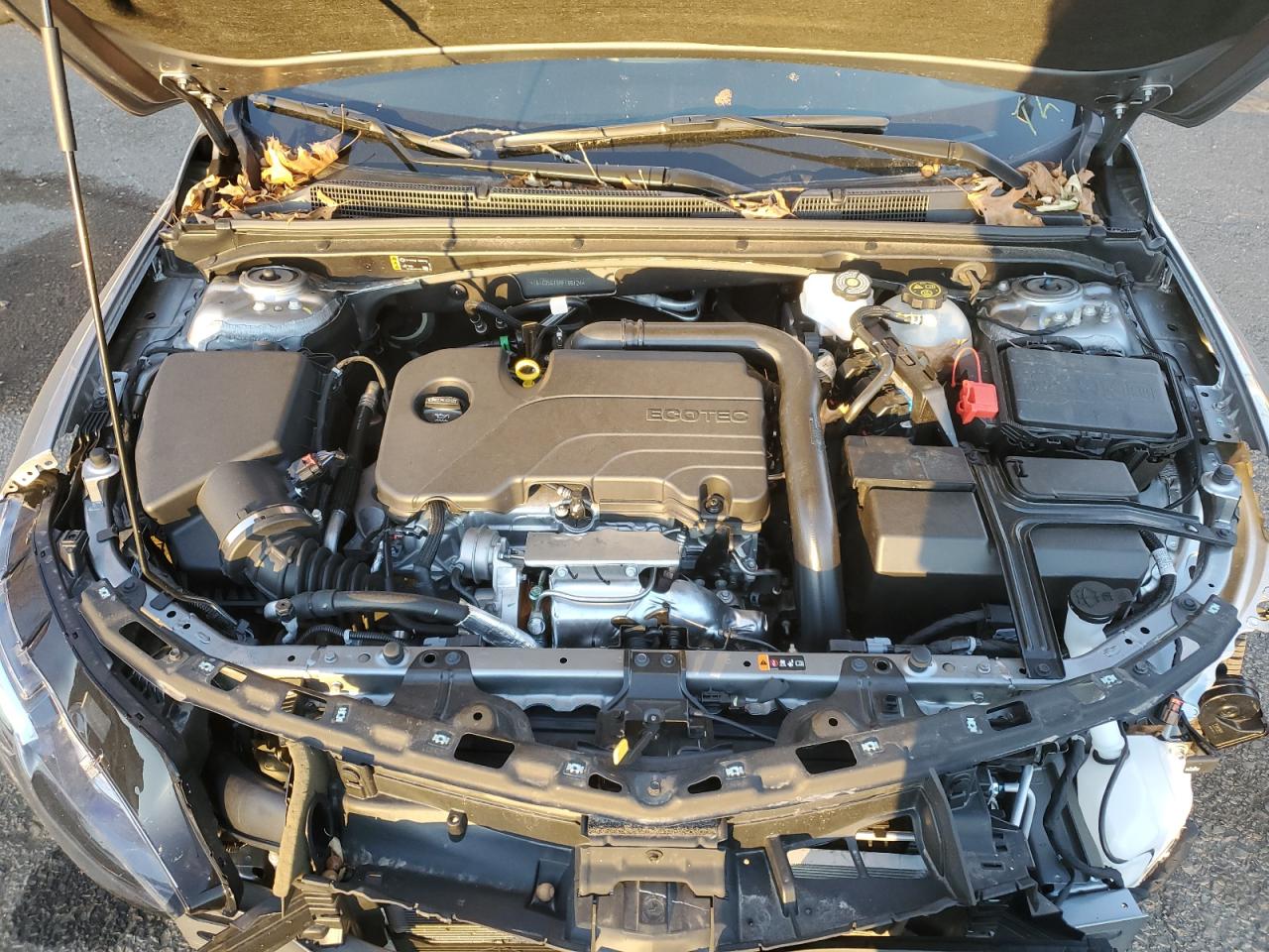 2024 CHEVROLET MALIBU LT VIN:1G1ZD5ST8RF166124