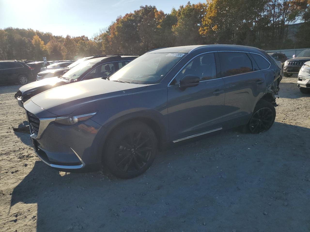 2022 MAZDA CX-9 GRAND TOURING VIN:JM3TCBDY4N0616654