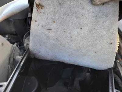 2020 BMW 520 WBA11BH07MCF43352 VIN:WBA11BH07MCF43352