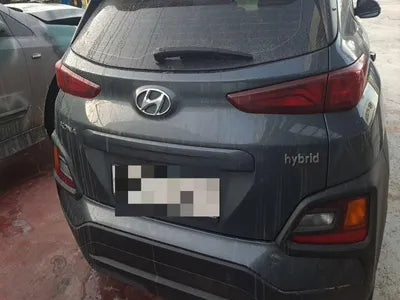 2020 Hyundai Kona KMHK381EGLU009425 VIN:KMHK381EGLU009425