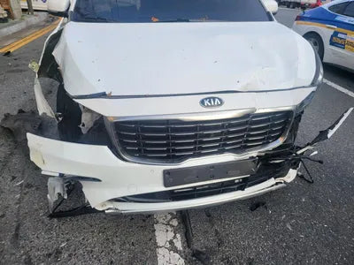 2019 Kia Carnival KNAMB81ABKS601953 VIN:KNAMB81ABKS601953