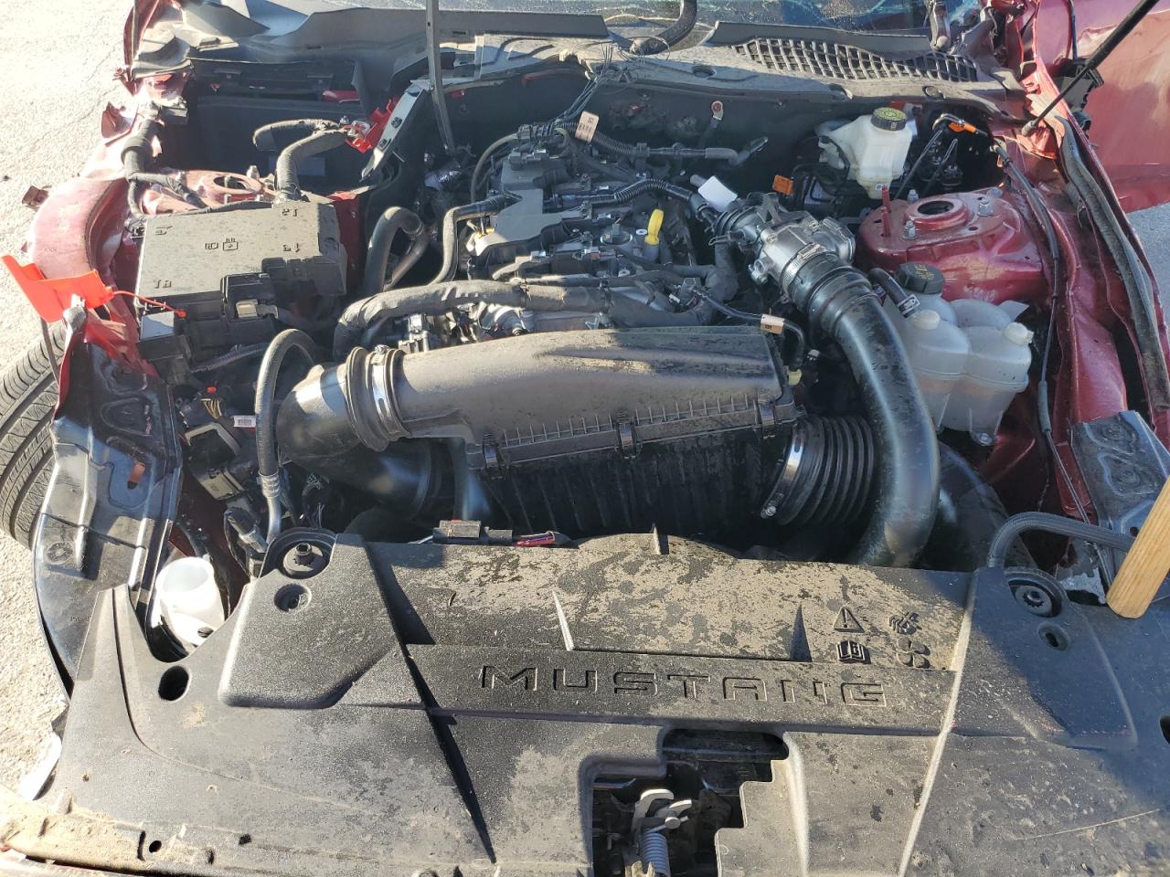2024 FORD MUSTANG  VIN:1FA6P8TH8R5135531