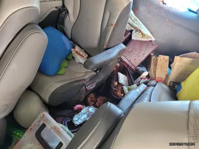 2021 Kia Carnival KNANE813BMS088736 VIN:KNANE813BMS088736