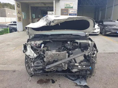 2021 Kia Carnival KNANE81BBMS025839 VIN:KNANE81BBMS025839