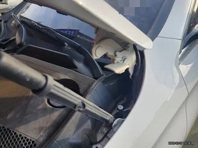 2017 Mercedes-Benz E 220 VIN: