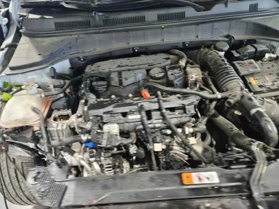 2021 Hyundai Kona KMHK3813GMU664965 VIN:KMHK3813GMU664965