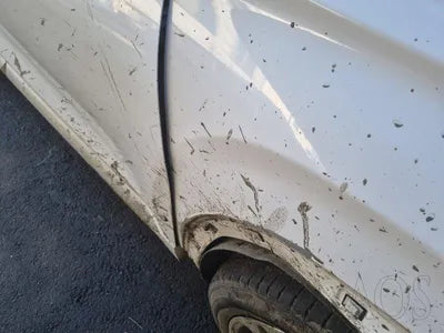 2019 Hyundai Santa FE KMHS581CDKU150496 VIN:KMHS581CDKU150496