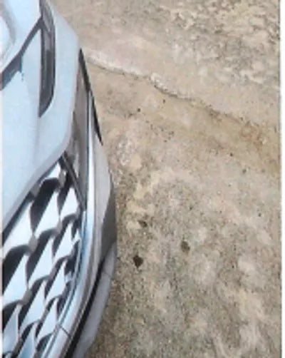 2021 Hyundai Santa FE KMHS281HGMU396414 VIN:KMHS281HGMU396414