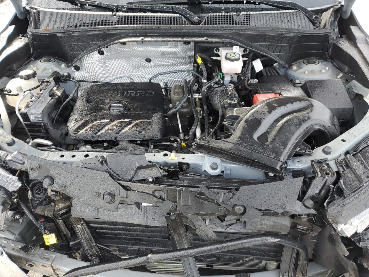 2023 CHEVROLET TRAILBLAZER LT VIN:KL79MRSL6PB154666