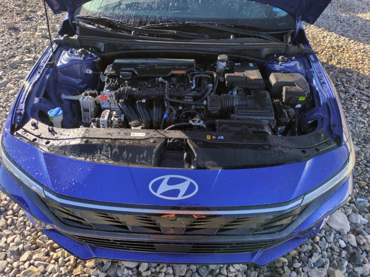 2024 HYUNDAI ELANTRA LIMITED VIN:KMHLP4DG8RU779818