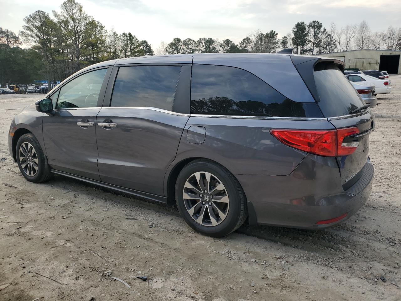 2024 HONDA ODYSSEY EXL VIN:5FNRL6H61RB037843
