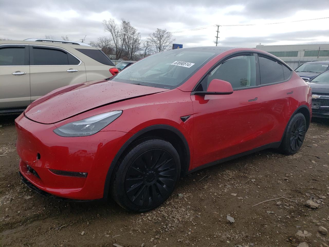 2023 TESLA MODEL Y  VIN:7SAYGDEE0PF810754