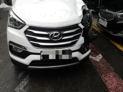 2016 Hyundai Santa FE KMHSW81UBGU697281 VIN:KMHSW81UBGU697281