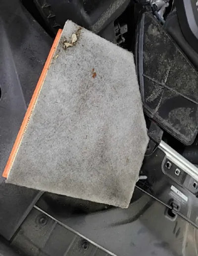 2021 BMW 523 WBA11ES06MWX10919 VIN:WBA11ES06MWX10919