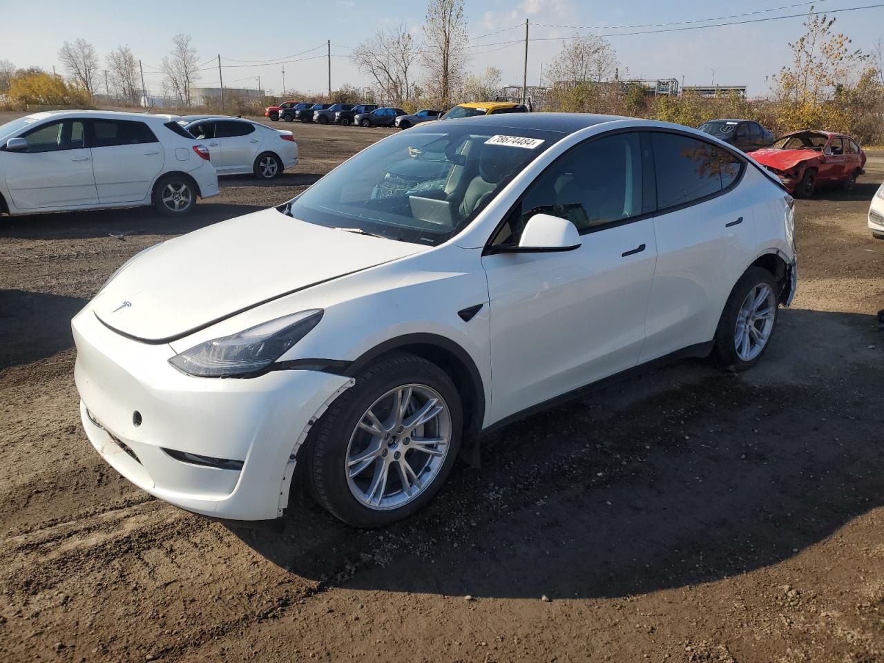 2024 TESLA MODEL Y  VIN:7SAYGDEE0RF055642