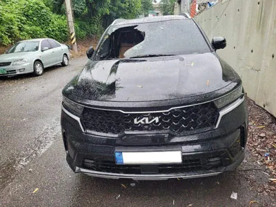 2021 Kia Sorento KNARK81BHNA116251 VIN:KNARK81BHNA116251