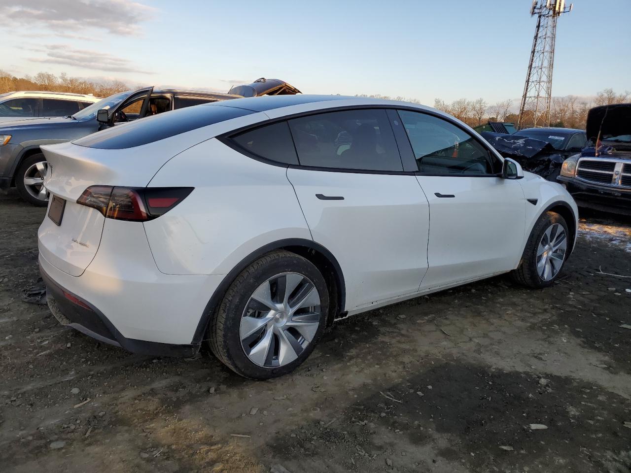 2023 TESLA MODEL Y  VIN:7SAYGDEE6PA114803