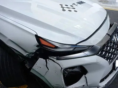 2019 Hyundai Santa FE KMHS381CDKU003486 VIN:KMHS381CDKU003486