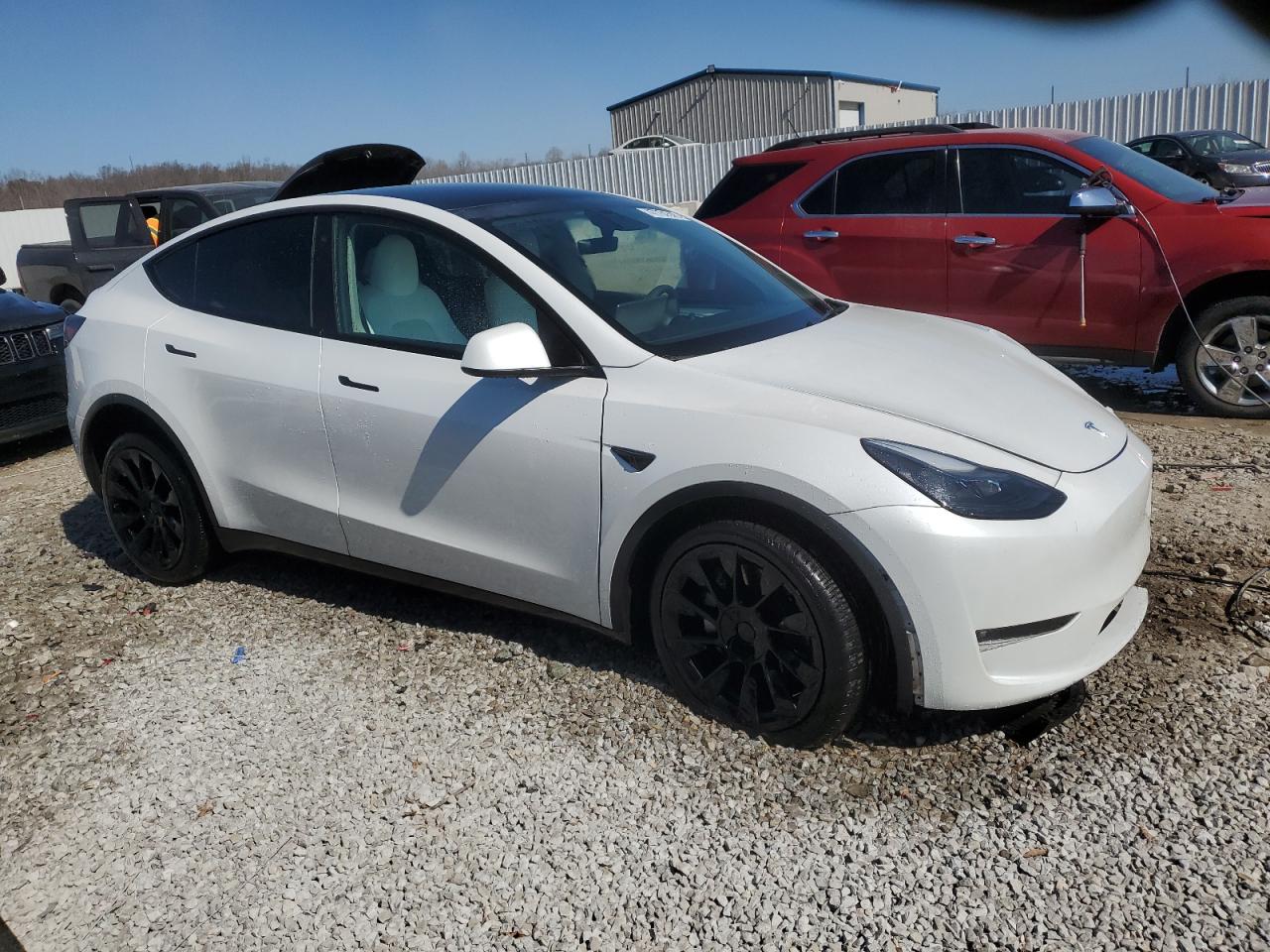 2023 TESLA MODEL Y  VIN:7SAYGDEE5PF691745