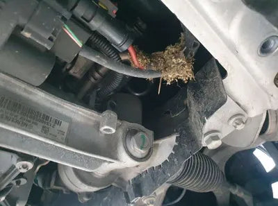 2018 Mercedes-Benz E 220 WDDZF0FB8JA436689 VIN:WDDZF0FB8JA436689