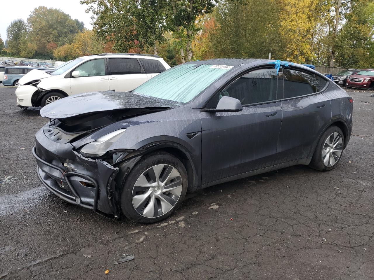 2023 TESLA MODEL Y  VIN:7SAYGDEE7PF809939