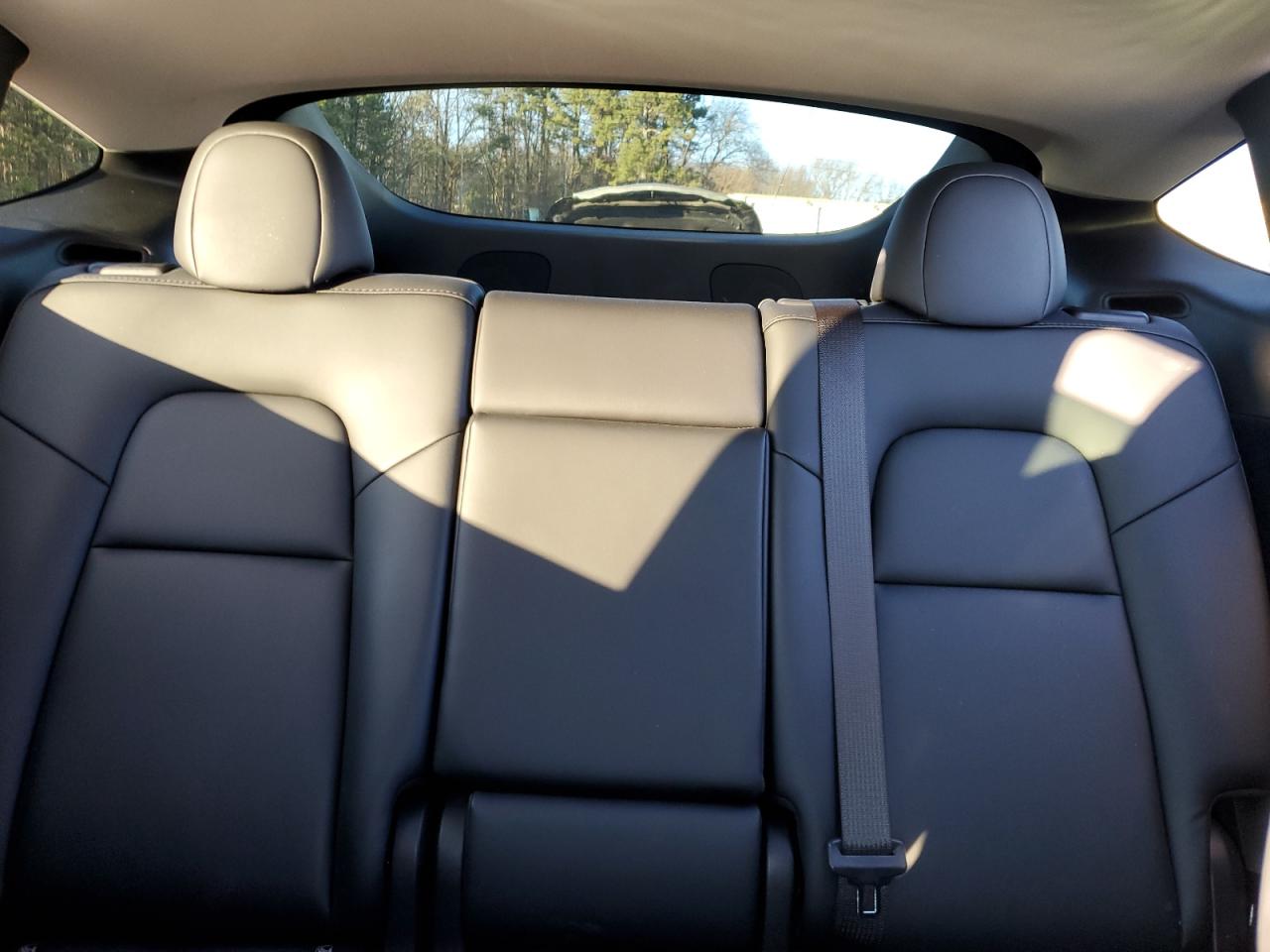 2023 TESLA MODEL Y  VIN:7SAYGDEEXPA181243