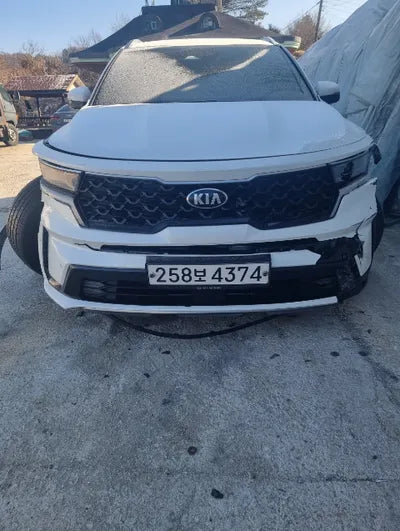 2021 Kia Sorento KNARL81BGMA022582 VIN:KNARL81BGMA022582