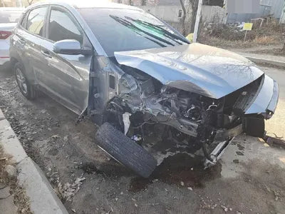 2020 Hyundai Kona KMHK4815GLU652562 VIN:KMHK4815GLU652562