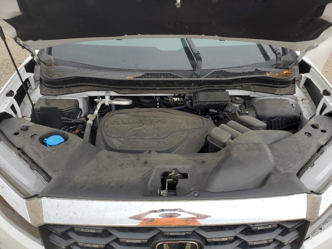 2023 HONDA PASSPORT EXL VIN:5FNYF8H58PB044081