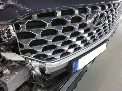 2020 Hyundai Santa FE KMHS381HGMU333983 VIN:KMHS381HGMU333983