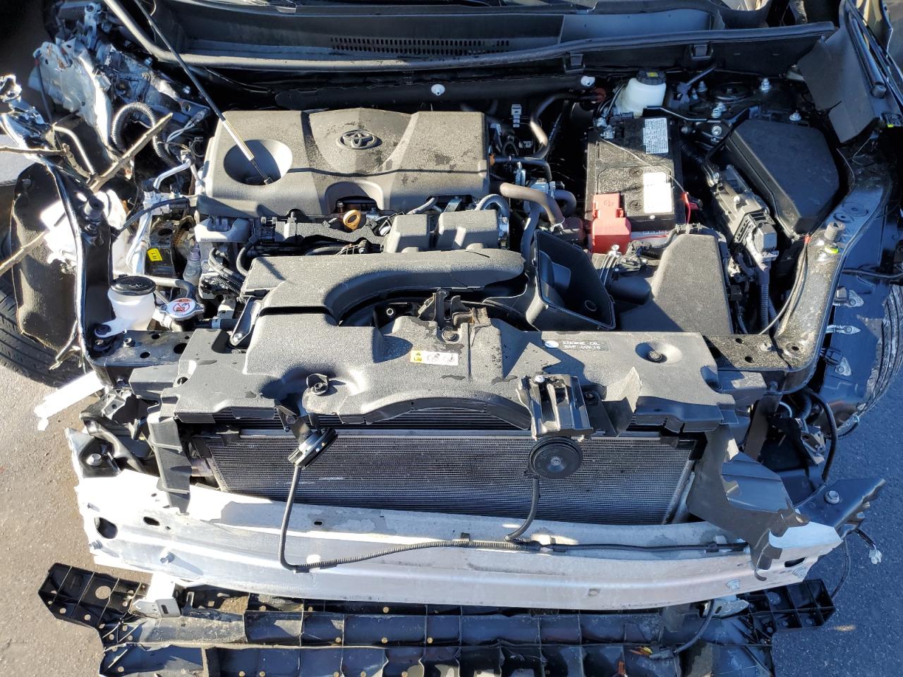 2024 TOYOTA RAV4 XLE VIN:2T3P1RFV4RC401631