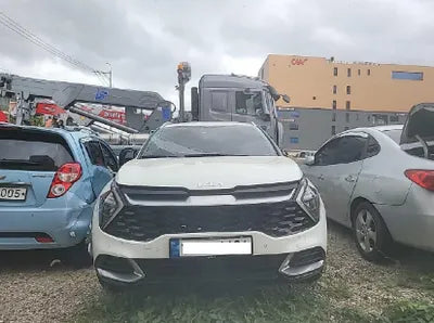 2022 Kia Sportage KNAPY81BGNK061726 VIN:KNAPY81BGNK061726
