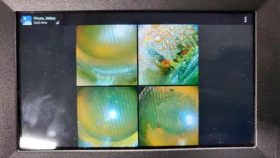 2020 Mercedes-Benz C 200 W1KWF8AB6LR568864 VIN:W1KWF8AB6LR568864