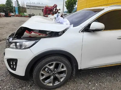 2016 Kia Sorento KNAPS81ABGA185857 VIN:KNAPS81ABGA185857