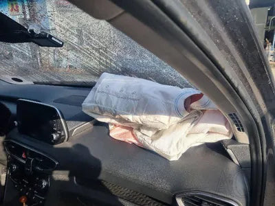 2019 Hyundai Santa FE KMHS281BBLU214044 VIN:KMHS281BBLU214044