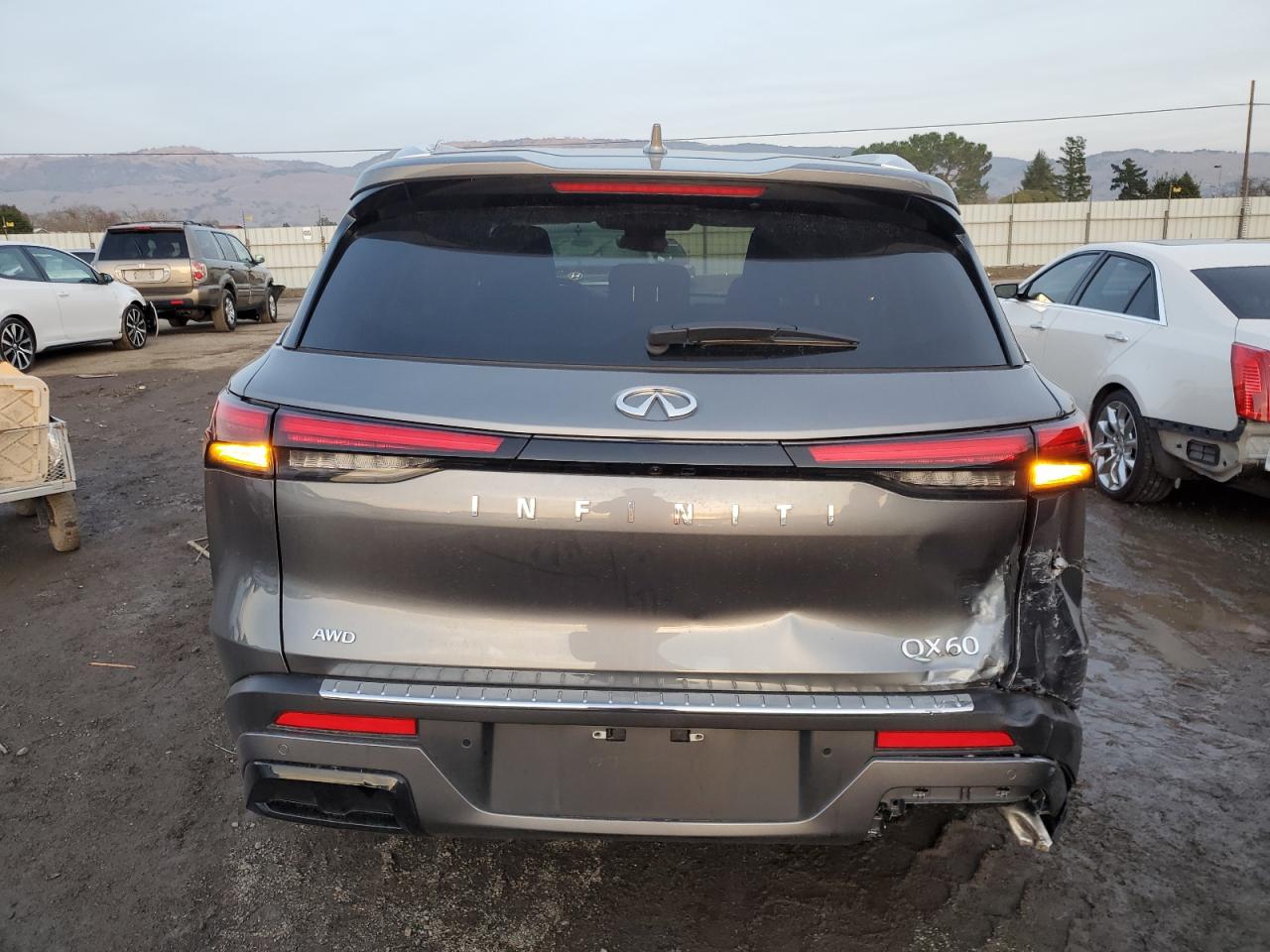 2023 INFINITI QX60 LUXE VIN:5N1DL1FS6PC366900