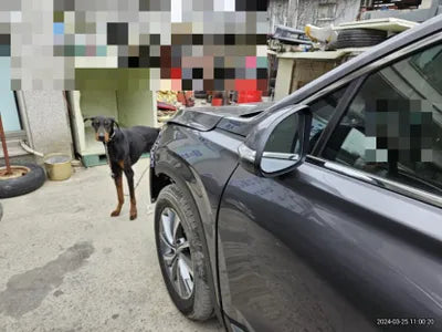 2020 Hyundai Santa FE KMHS281ABLU296695 VIN:KMHS281ABLU296695