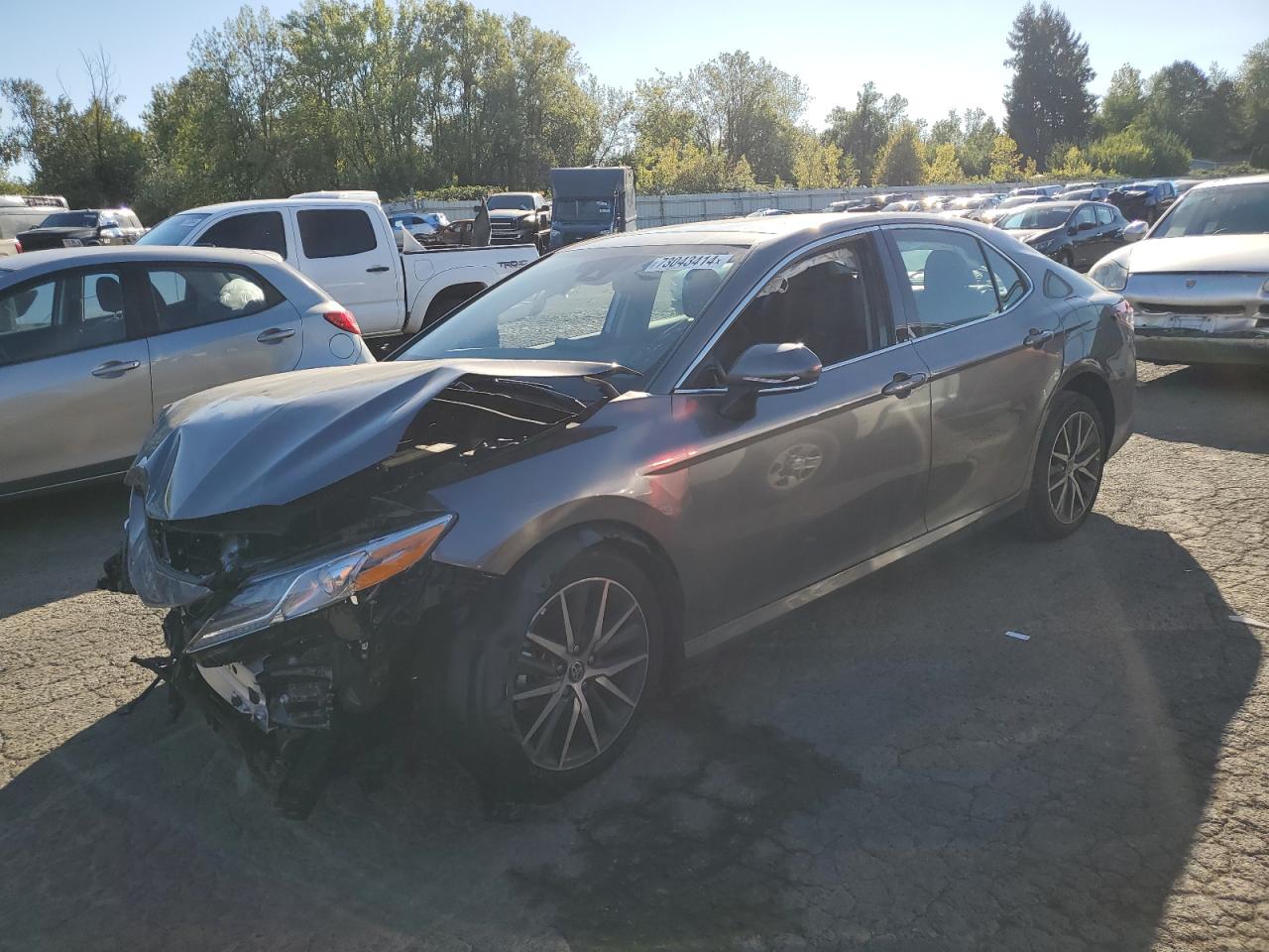 2024 TOYOTA CAMRY XLE VIN:4T1F11BK5RU122317