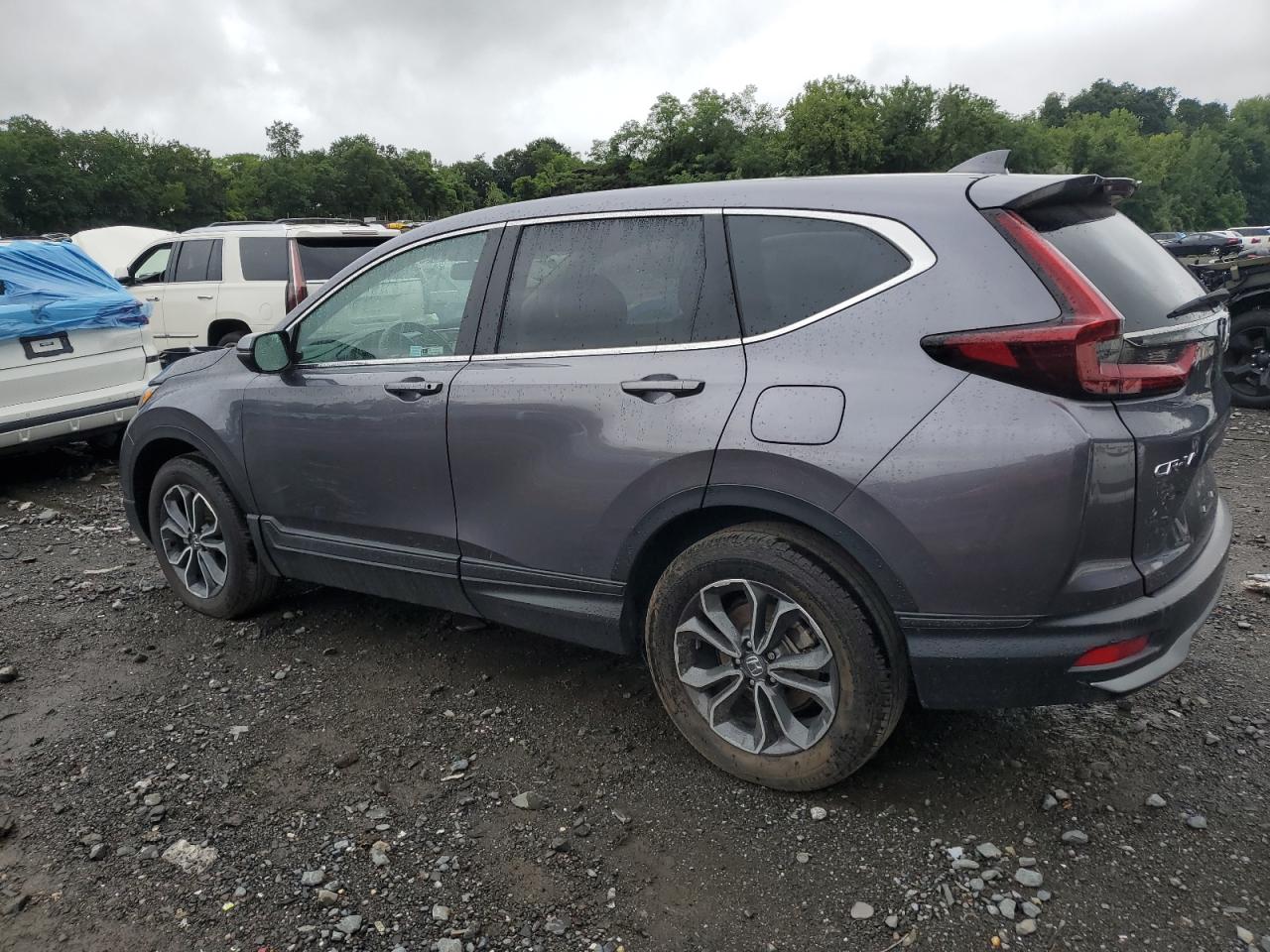 2022 HONDA CR-V EXL VIN:7FARW2H83NE030487