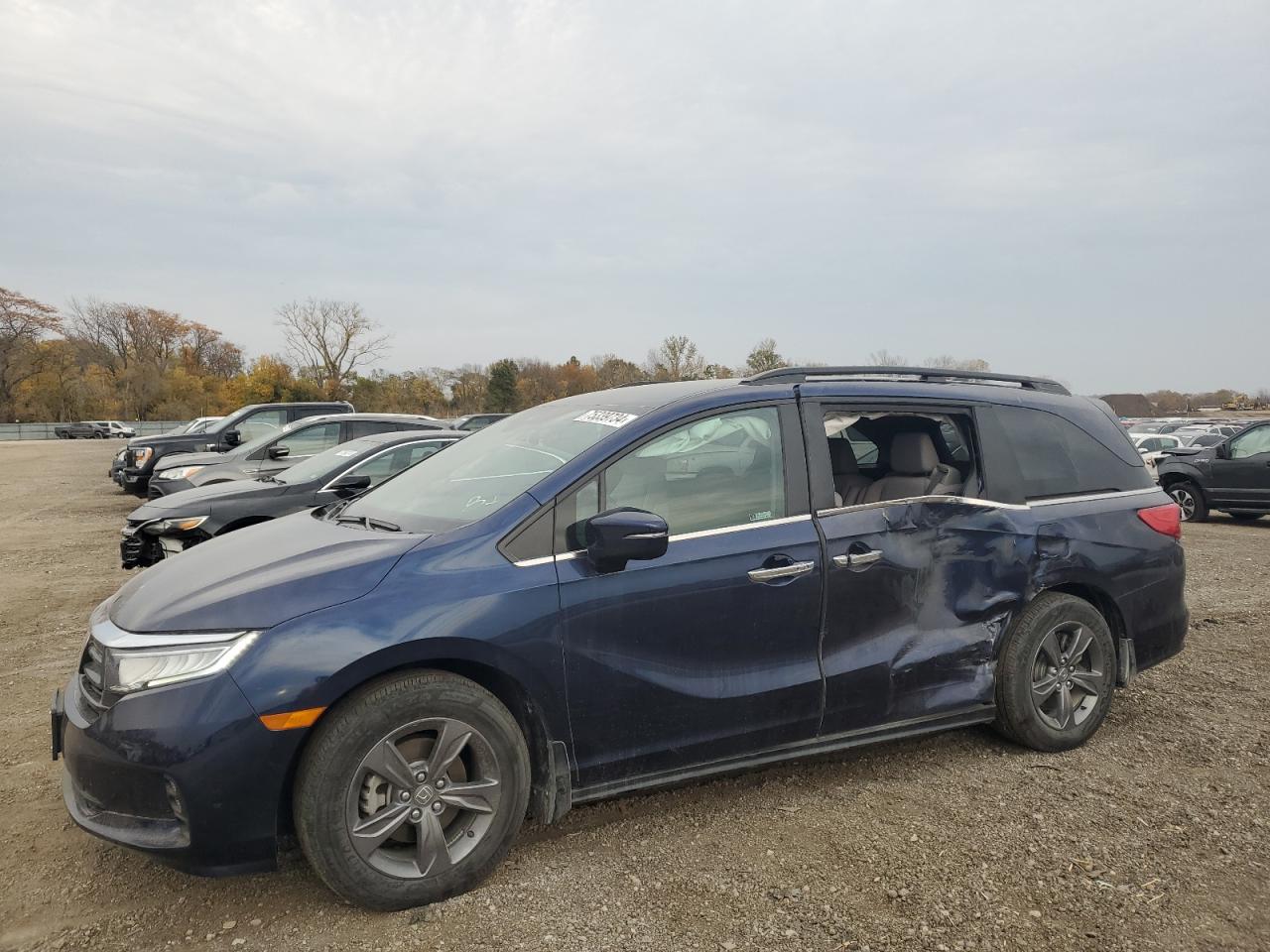 2024 HONDA ODYSSEY EX VIN:5FNRL6H58RB007584