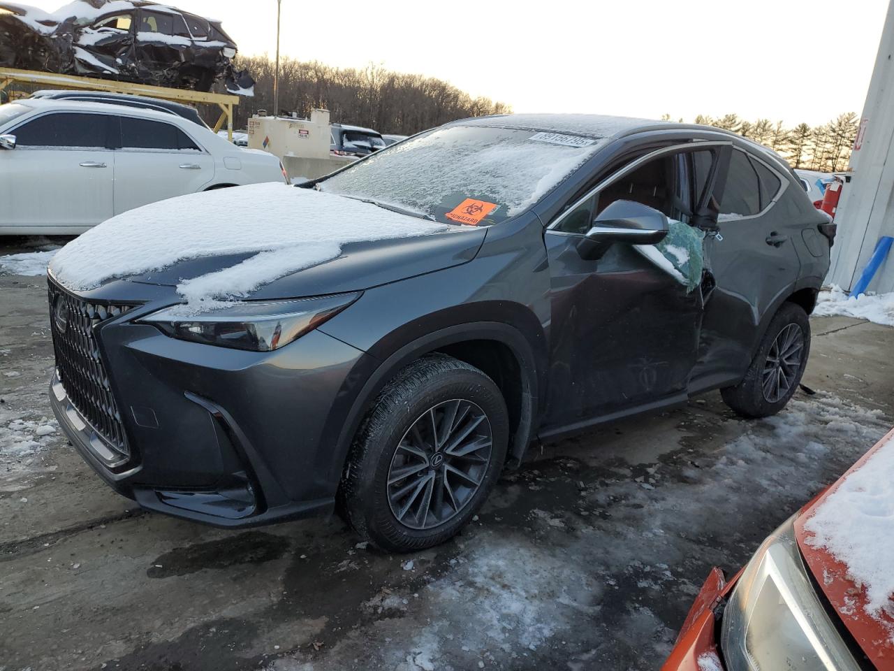 2024 LEXUS NX 350 BASE VIN:2T2AGCEZ9RC057644