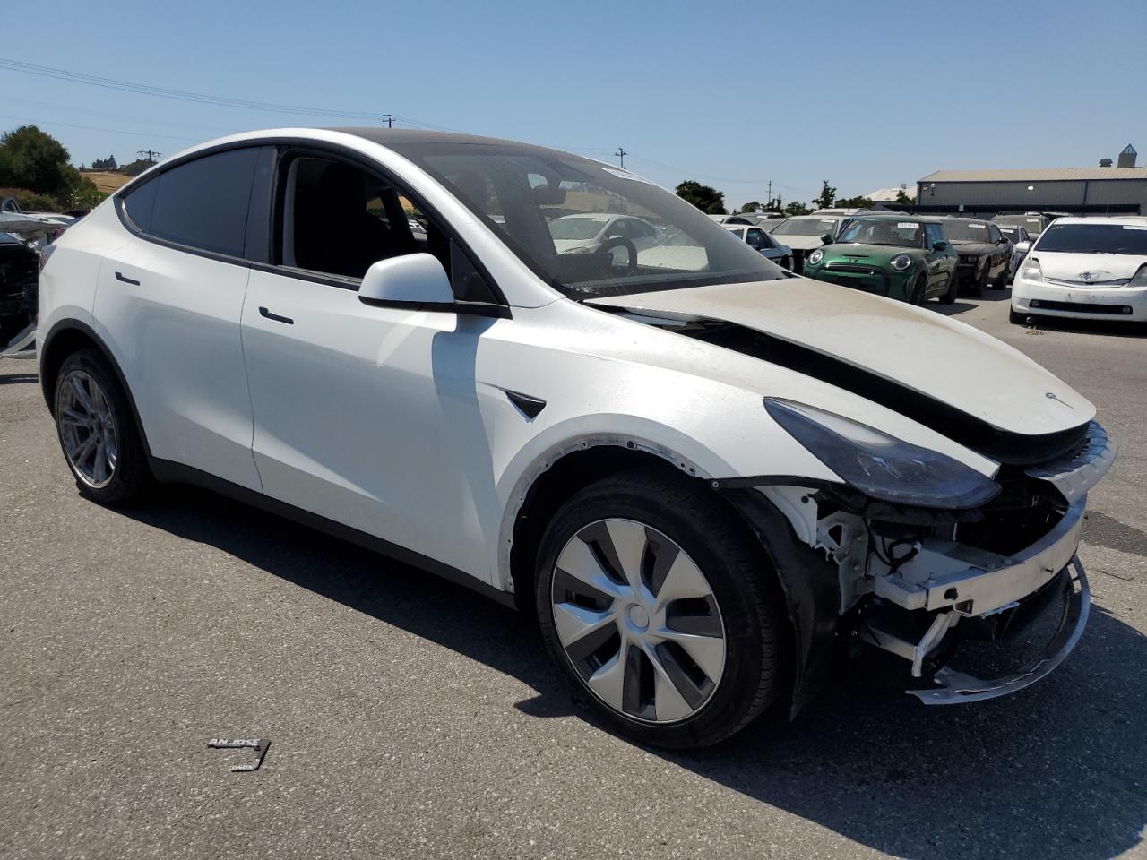 2023 TESLA MODEL Y  VIN:7SAYGDEEXPF743435