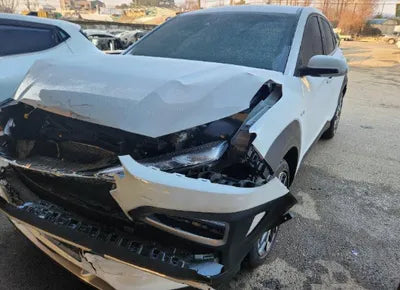 2020 Hyundai Kona KMHK381EGLU028060 VIN:KMHK381EGLU028060