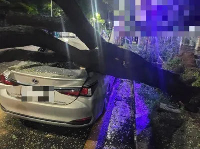 2018 Lexus ES 300 VIN: