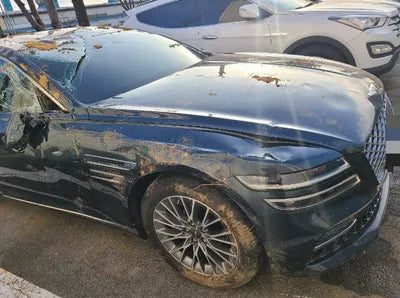 2020 Genesis G80 VIN: