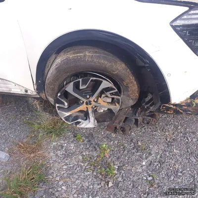 2022 Kia Sportage 152KMKNAPX81GBNK0 VIN:152KMKNAPX81GBNK0