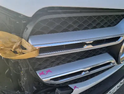 2020 Mercedes-Benz GLE 300 WDCFB1KB6LA131130 VIN:WDCFB1KB6LA131130