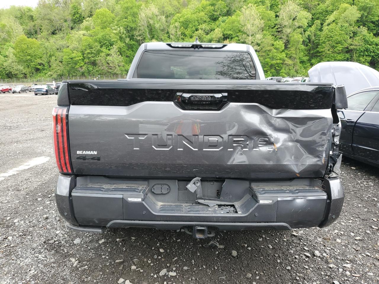 2023 TOYOTA TUNDRA CREWMAX PLATINUM VIN:5TFNA5DB0PX087332